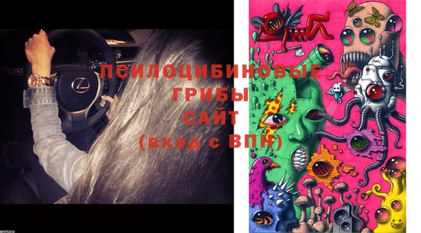 стаф Ладушкин