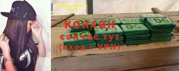 стаф Ладушкин