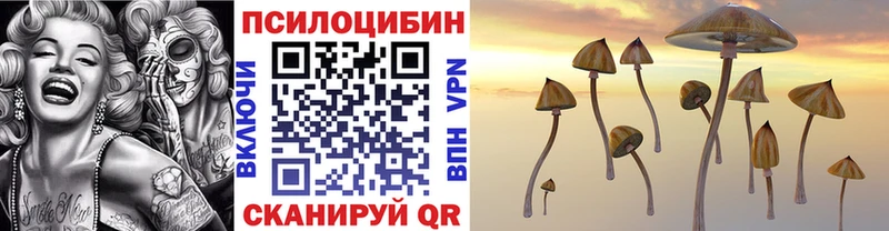 Псилоцибиновые грибы мухоморы  Купить закладки  Мензелинск 